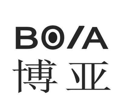 博亚探秘 从概念到应用